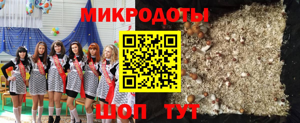 Галлюциногенные грибы ЛСД  Галлюциногенные грибы Psilocybe  Урус-Мартан  Вход с VPN 